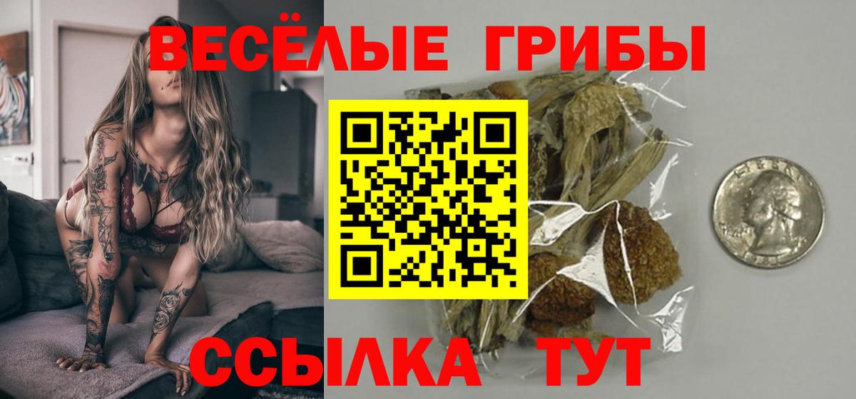 Богородицк  Псилоцибиновые грибы мухоморы  Вход с VPN 